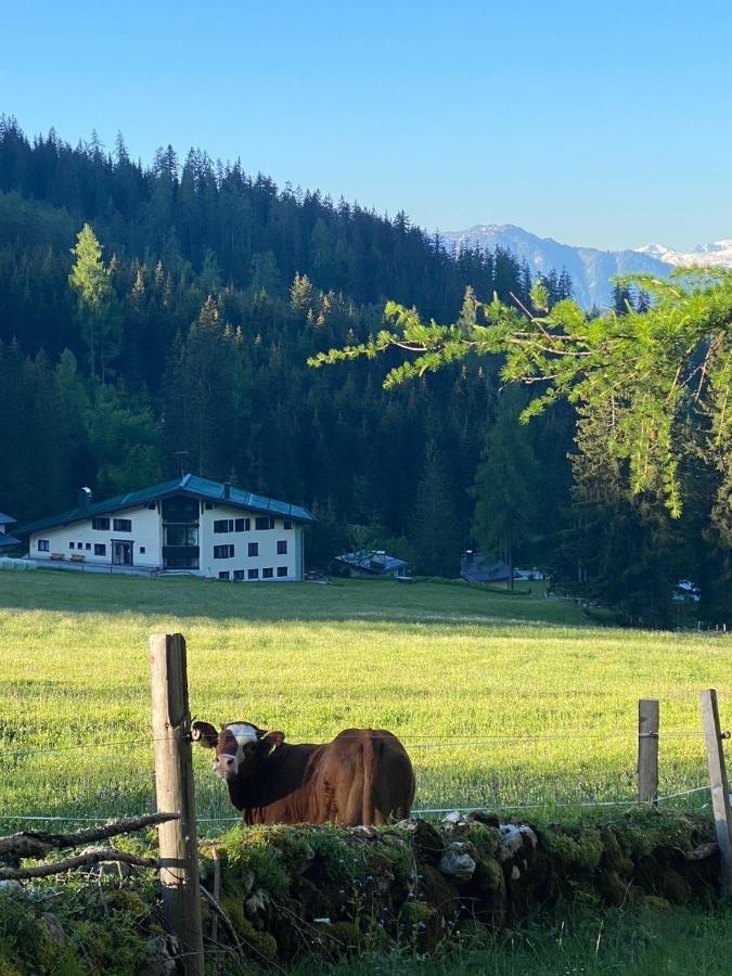 Appartementhaus Hochkoenig - Panoramablick Mühlbach am Hochkönig Exterior foto