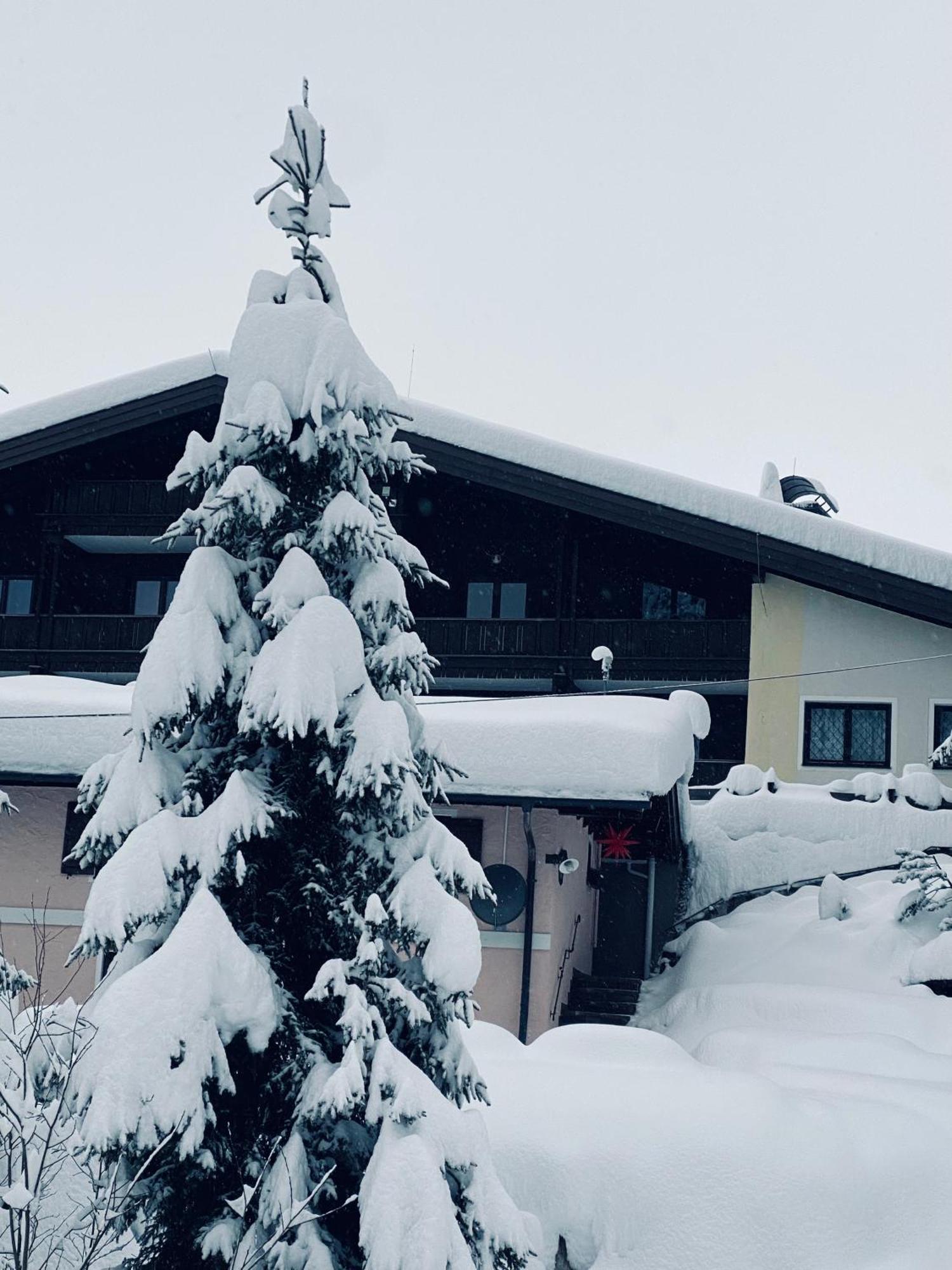 Appartementhaus Hochkoenig - Panoramablick Mühlbach am Hochkönig Exterior foto